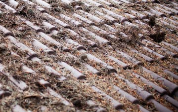 Box Hill roof cleaning companies